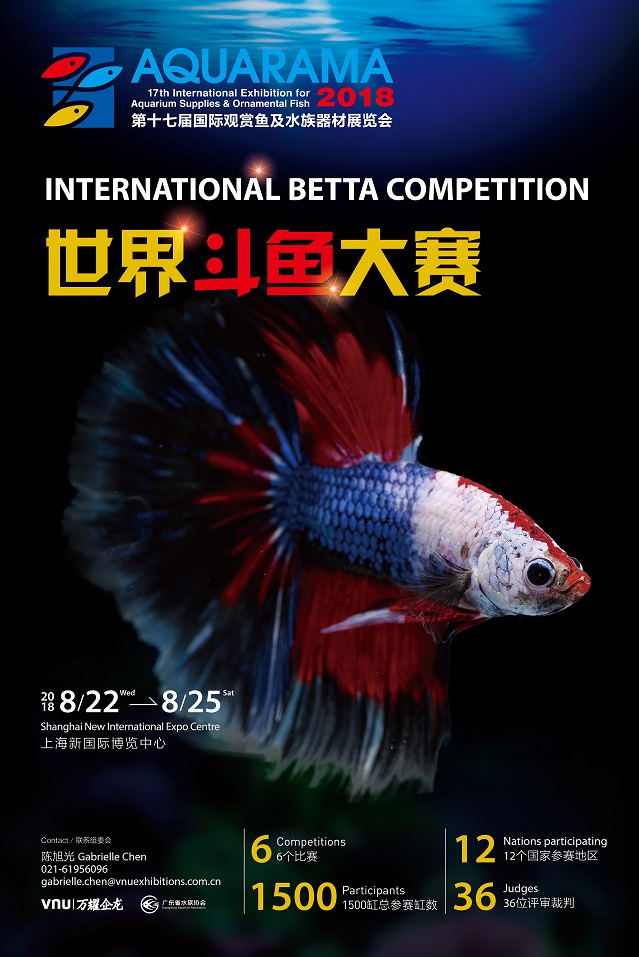 Betta Competition at Aquarama